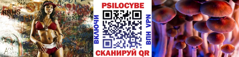 Псилоцибиновые грибы MAGIC MUSHROOMS  ссылка на мегу рабочий сайт  Бабаево 